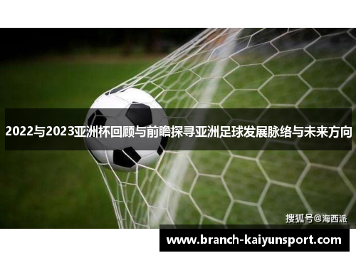 2022与2023亚洲杯回顾与前瞻探寻亚洲足球发展脉络与未来方向