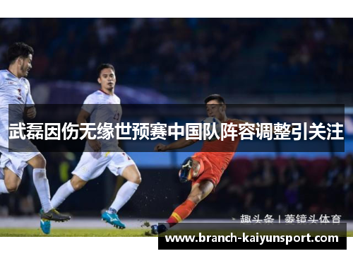 武磊因伤无缘世预赛中国队阵容调整引关注